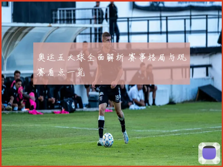 奥运五大球全面解析 赛事格局与观赛看点一览
