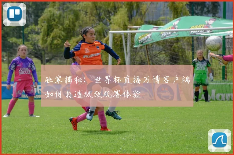 独家揭秘：世界杯直播万博客户端如何打造极致观赛体验