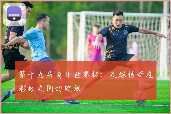 第十九届南非世界杯：足球传奇在彩虹之国的绽放