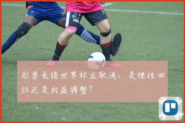 彩票竞猜世界杯后取消，是理性回归还是利益调整？