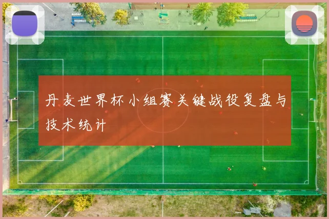 丹麦世界杯小组赛关键战役复盘与技术统计